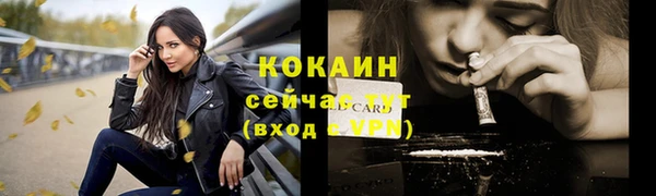 стаф Арсеньев
